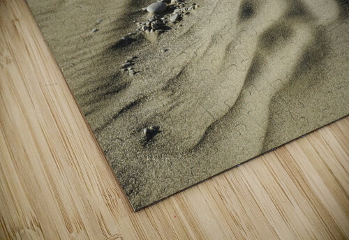 Beach Sculpture Fred Pierson Images puzzle