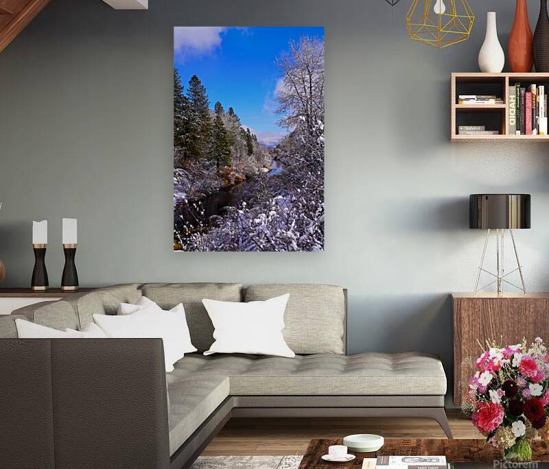 Spanish Creek in Winter Reproduction