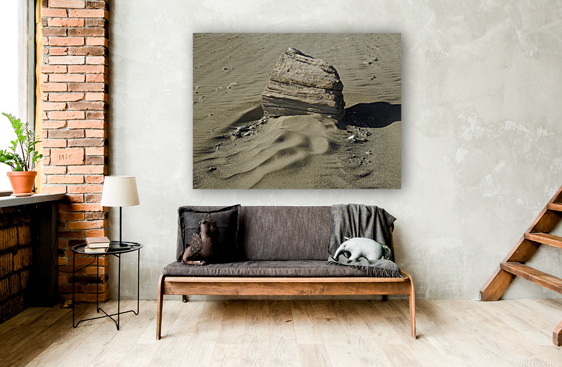 Beach Sculpture Reproduction