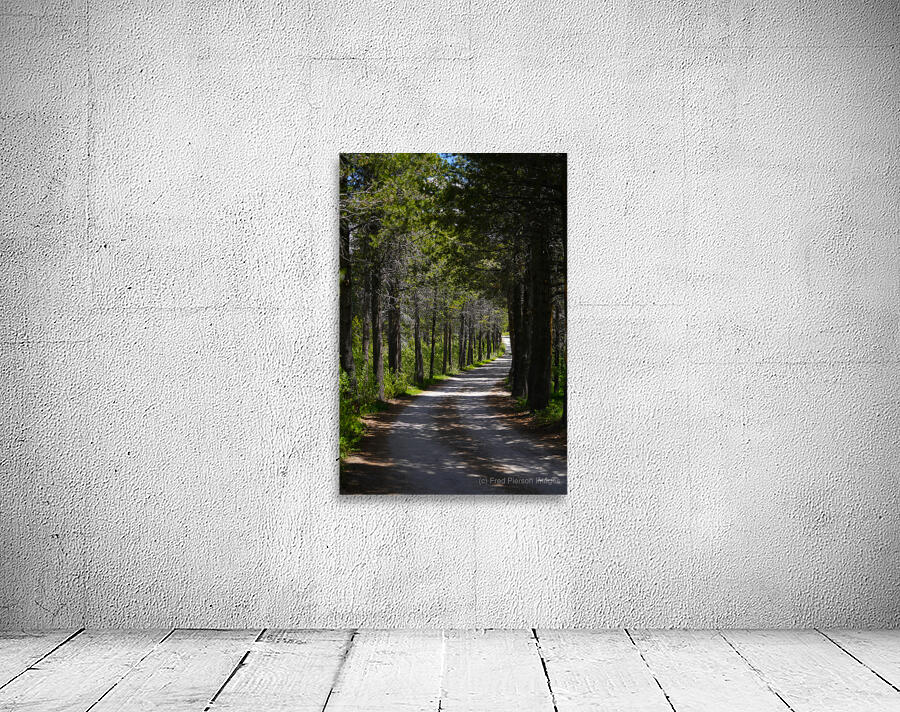 Country Road Wall Preview