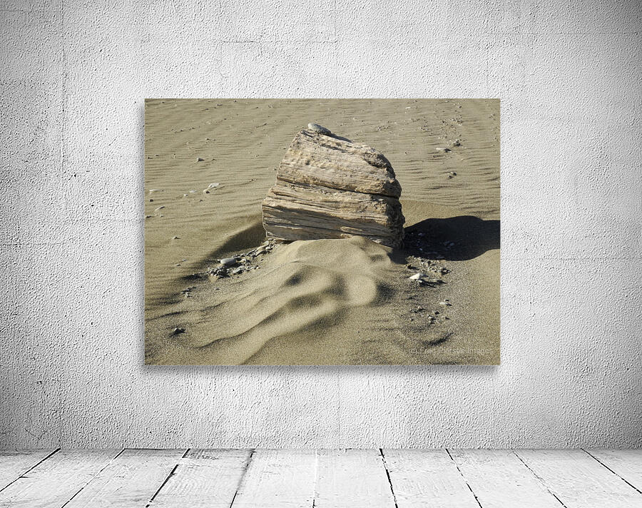 Beach Sculpture Wall Preview