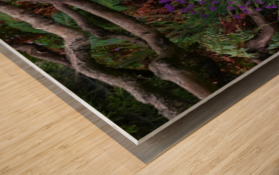 Stone Crane in Foliage Impression sur bois