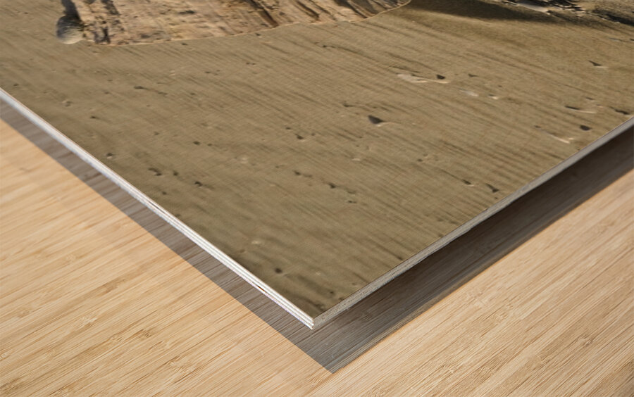 Beach Sculpture Wood print