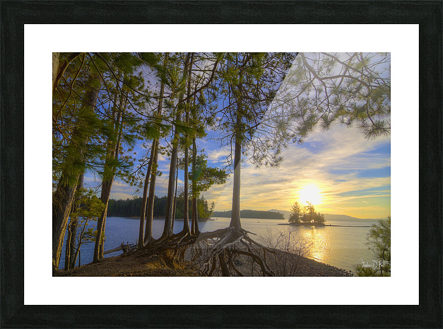Lily Bay Picture Frame print
