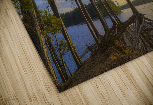 Lily Bay Stephen D Pate puzzle