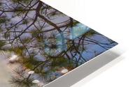 Lily Bay HD Metal print