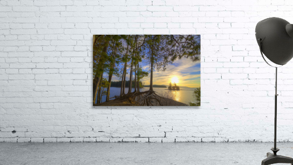 Lily Bay Wall Preview