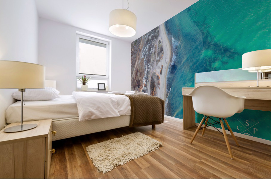 Calypso’s Shore Mural print