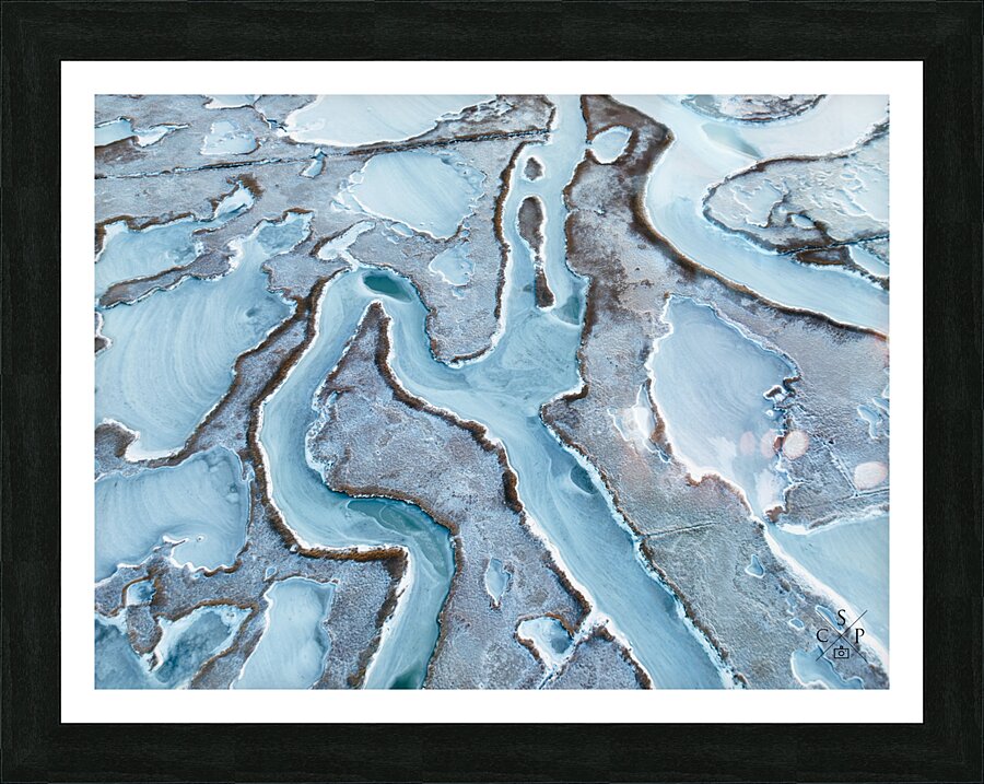 Avulsion Picture Frame print