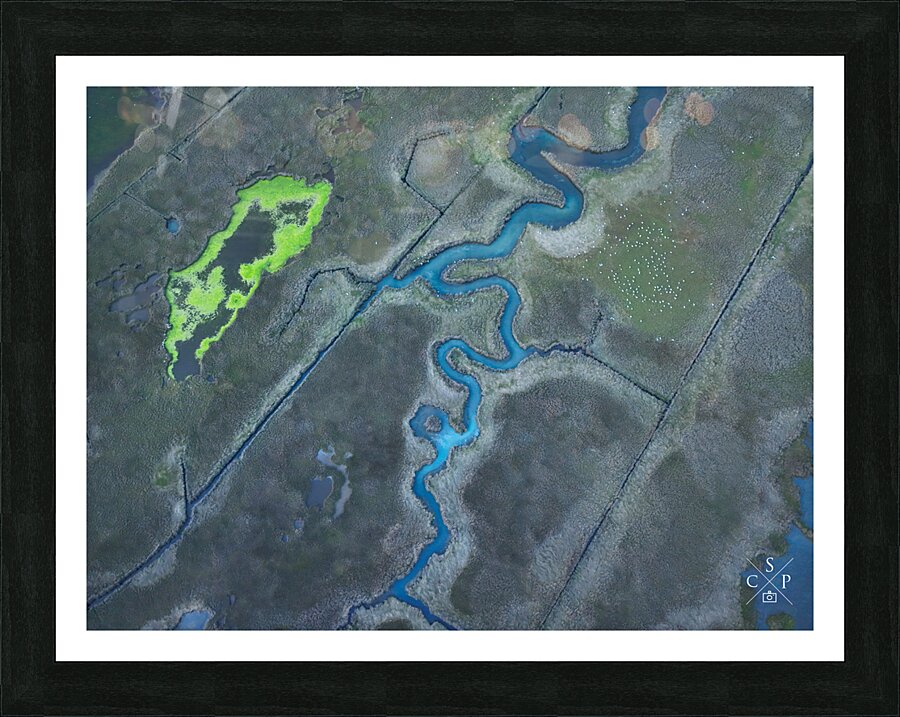 Eutrophication  Picture Frame print