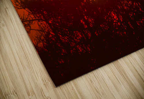Dawn Caleb Seitz puzzle