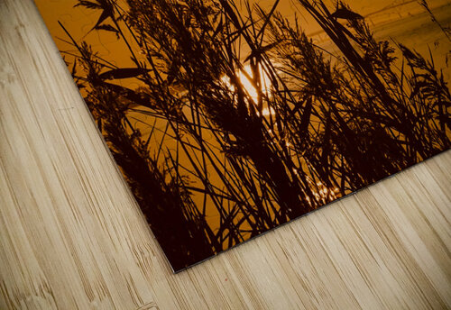Solace Caleb Seitz puzzle