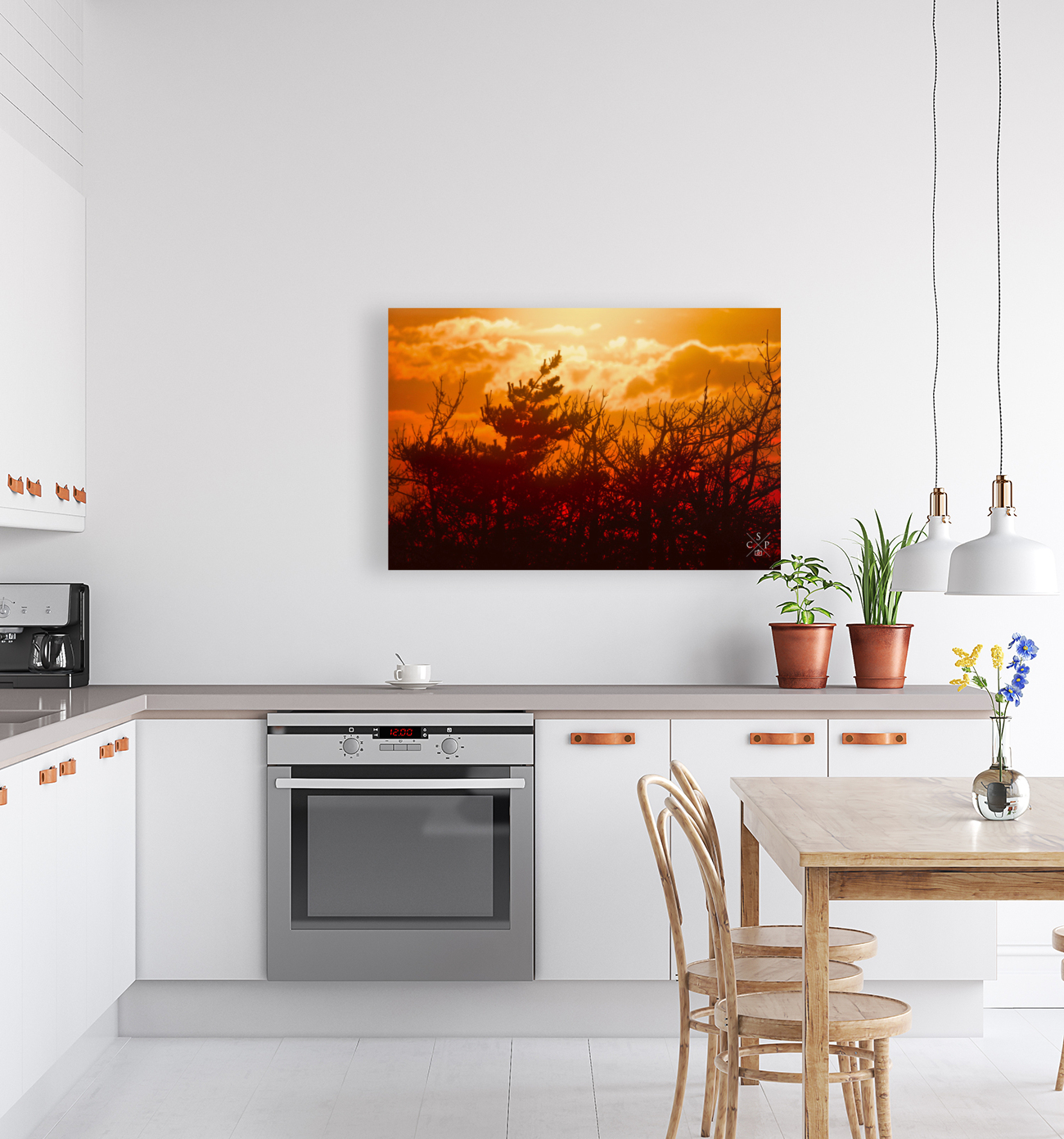 Dawn Reproduction