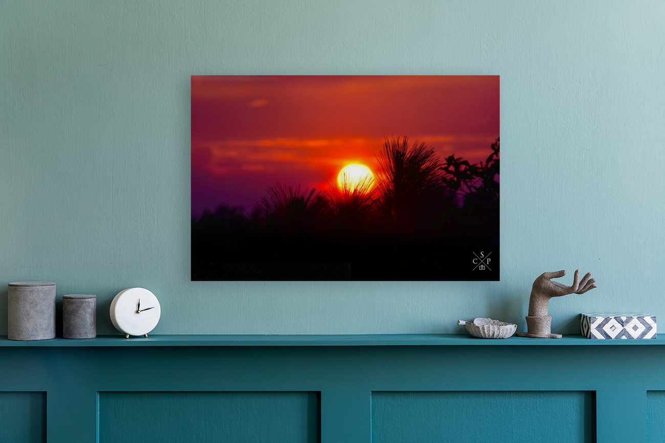 Crepuscule Reproduction
