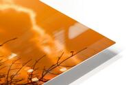 Dawn HD Metal print