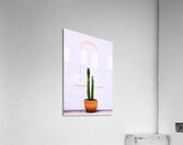 DSC09307 Acrylic Print
