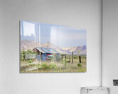230701 0204 Acrylic Print