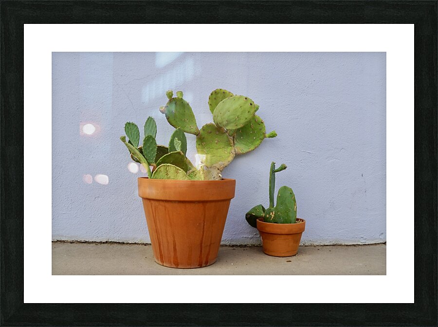 DSC09158 Picture Frame print