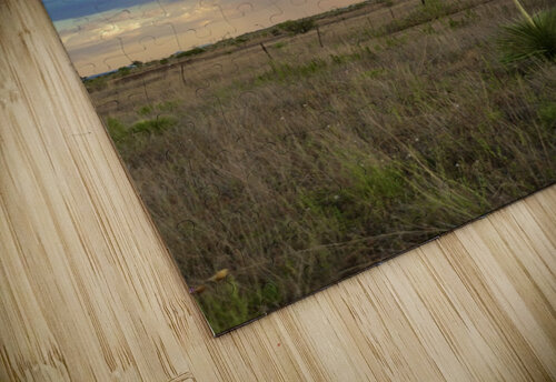 DSC09085 Ali Hoeffer Photography puzzle