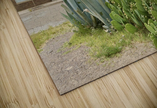 230630 0188 Ali Hoeffer Photography puzzle