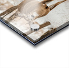 Stand Off 6D25 5708 Acrylic print