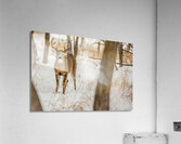 Stand Off 6D25 5708 Acrylic Print