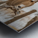 Stand Off 6D25 5708 Metal print