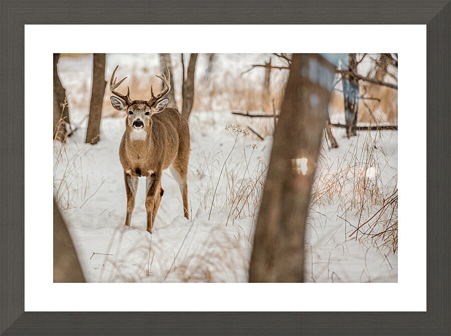 Stand Off 6D25 5708 Picture Frame print