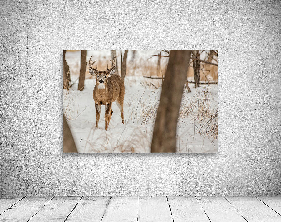 Stand Off 6D25 5708 Wall Preview