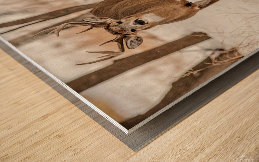 Stand Off 6D25 5708 Wood print