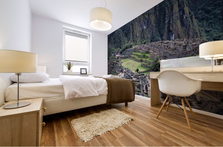 Machu Pichu 5 Mural print