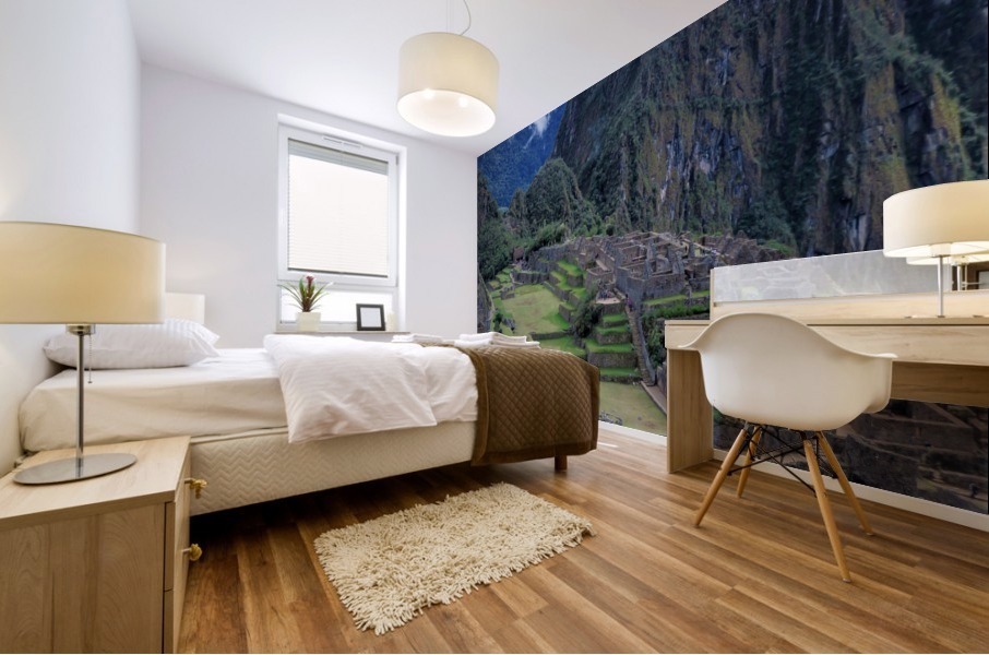 Machu Pichu 6 Mural print
