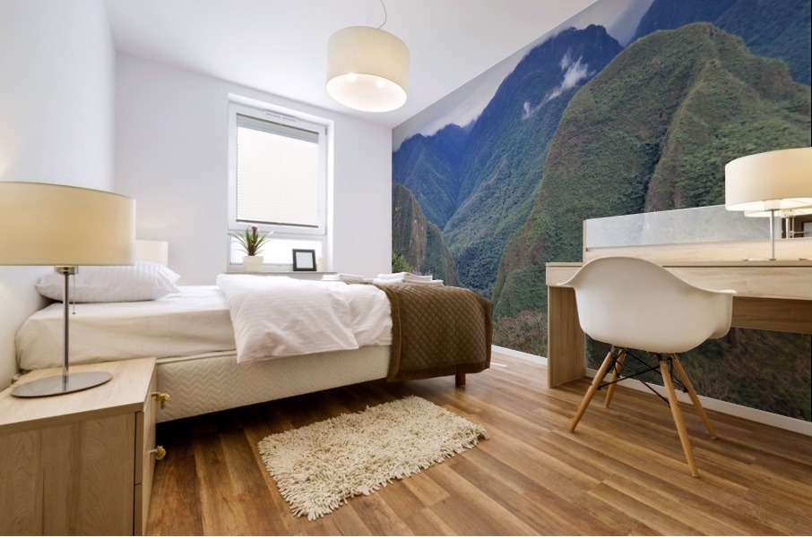 Machu Pichu 8 Mural print