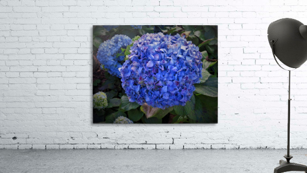 Fleurs Flowers Wall Preview