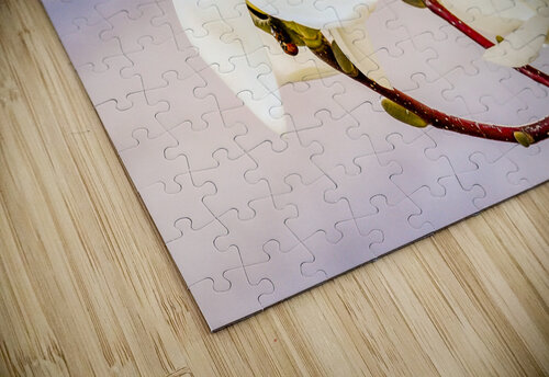 Magnolias Teri Hansen puzzle