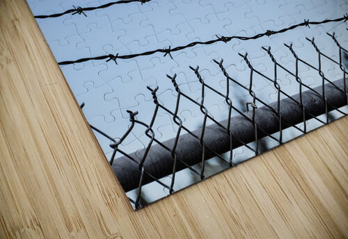 Bird on a Wire Teri Hansen puzzle