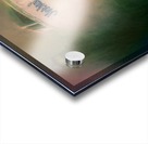 Nothin Fancy Acrylic print