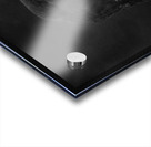 Young_and_black Acrylic print