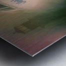 Nothin Fancy Metal print