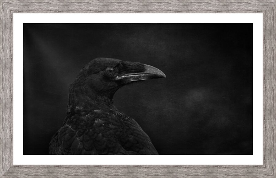 Young_and_black Picture Frame print