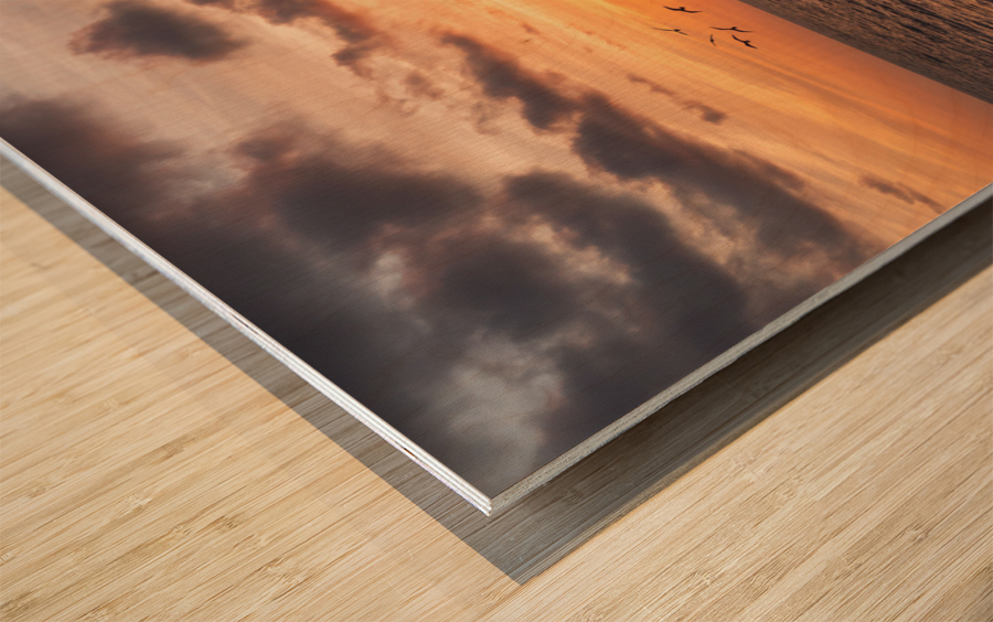 Goodnight from la Bloc Wood print