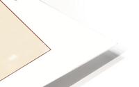 Witch   HD Metal print