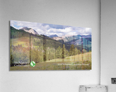 the nature Acrylic Print