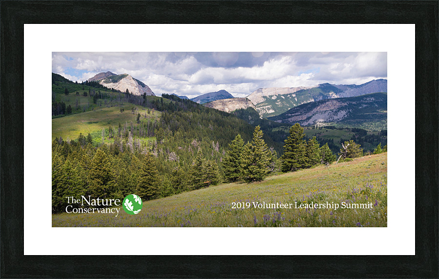 the nature Picture Frame print