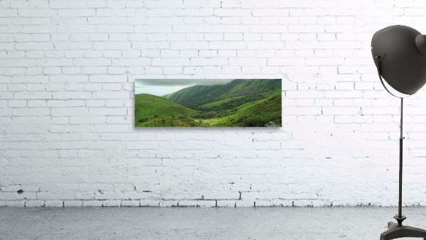 the nature Wall Preview
