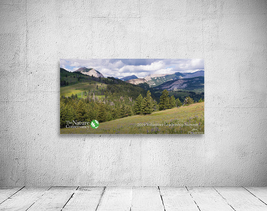 the nature Wall Preview