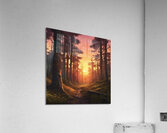 808092 Pictures of a forest at sunset  xl 1024 v1 Acrylic Print