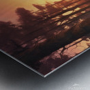 808092 Pictures of a forest at sunset  xl 1024 v1 Metal print