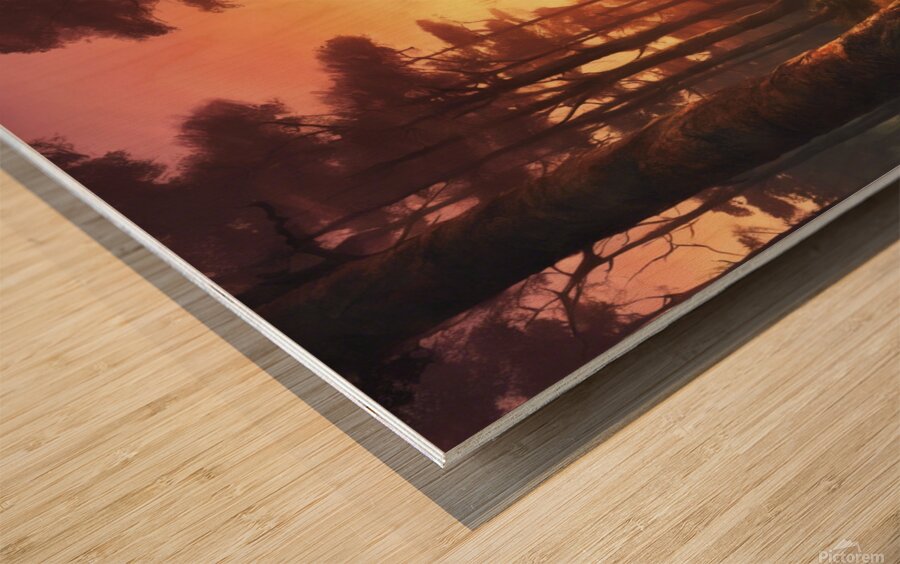 808092 Pictures of a forest at sunset  xl 1024 v1 Wood print