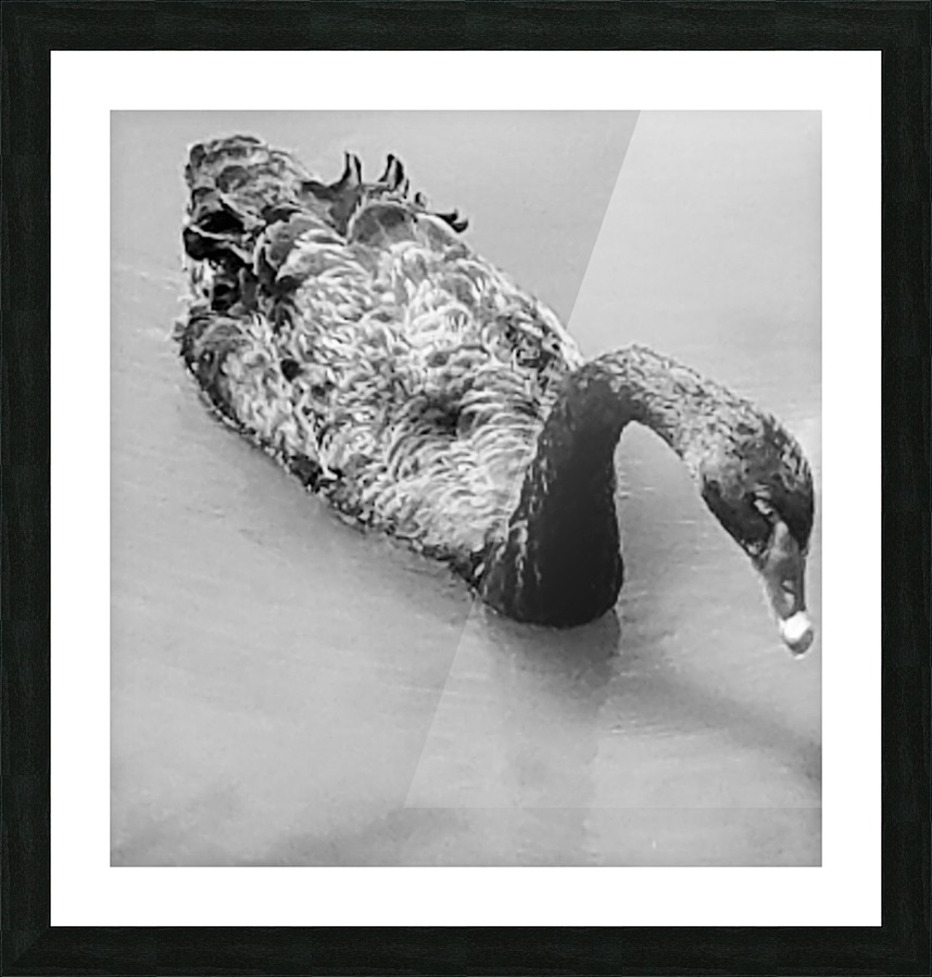 Grace Picture Frame print